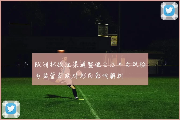 欧洲杯投注渠道整理合法平台风险与监管新政对彩民影响解析