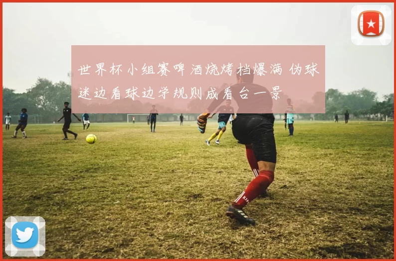 世界杯小组赛啤酒烧烤档爆满 伪球迷边看球边学规则成看台一景