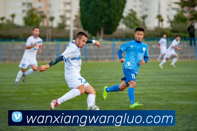 三亿体育网页版登录入口(China)官方网站发展历程